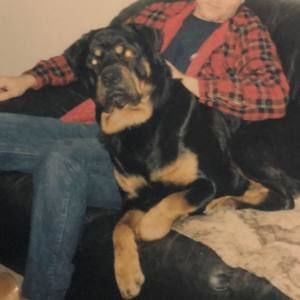 Meet your Posher, Anna